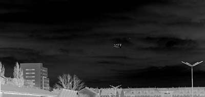 Political Correct · Zugvogel · Fotografie · 2001