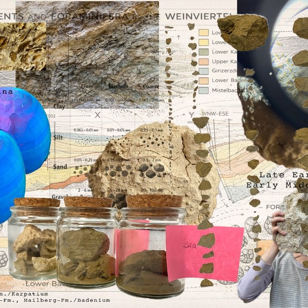 Neuester Instagram-Post · Andrea Nagl · RELIQUIE WEIN4