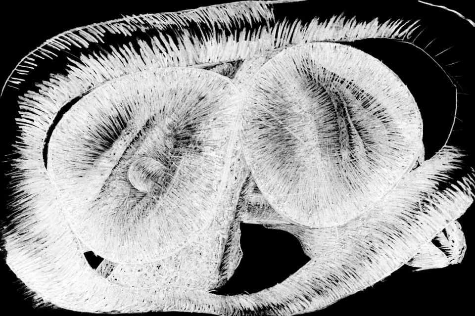 Inside an object 2011, Fotografie 1