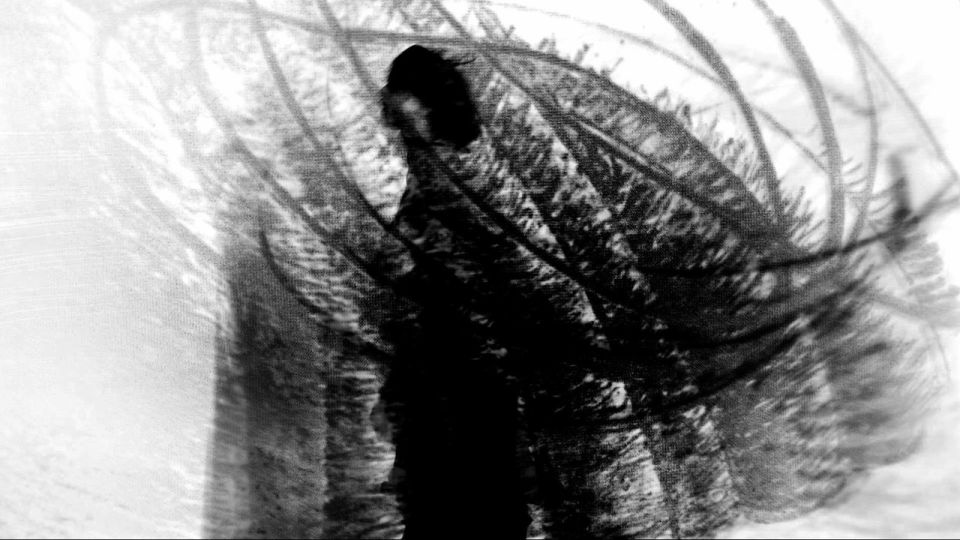Inside an object 2011, Fotografie 4
