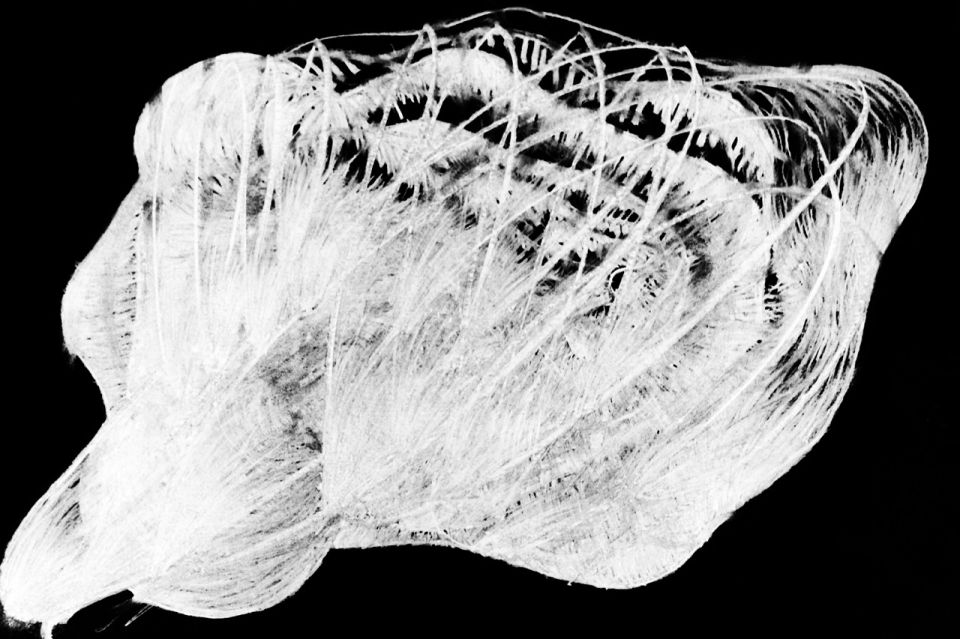 Inside an object 2011, Fotografie 19