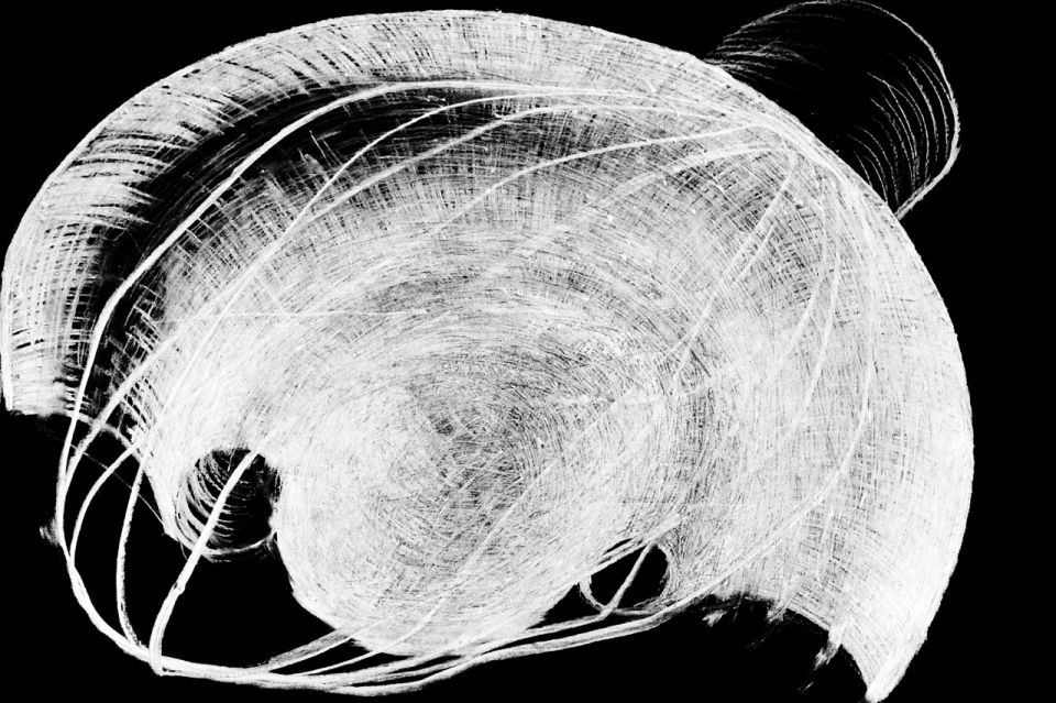 Inside an object 2011, Fotografie 20