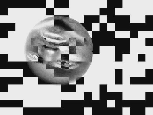 Experiment 1