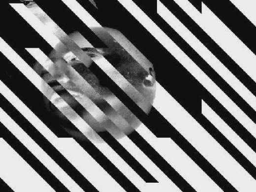 Experiment 1