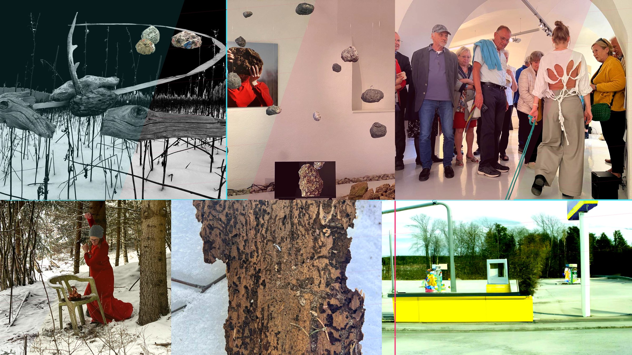 Randnotizen oder die Auflösung der Wunderkammer · experimentelle Projektcollage