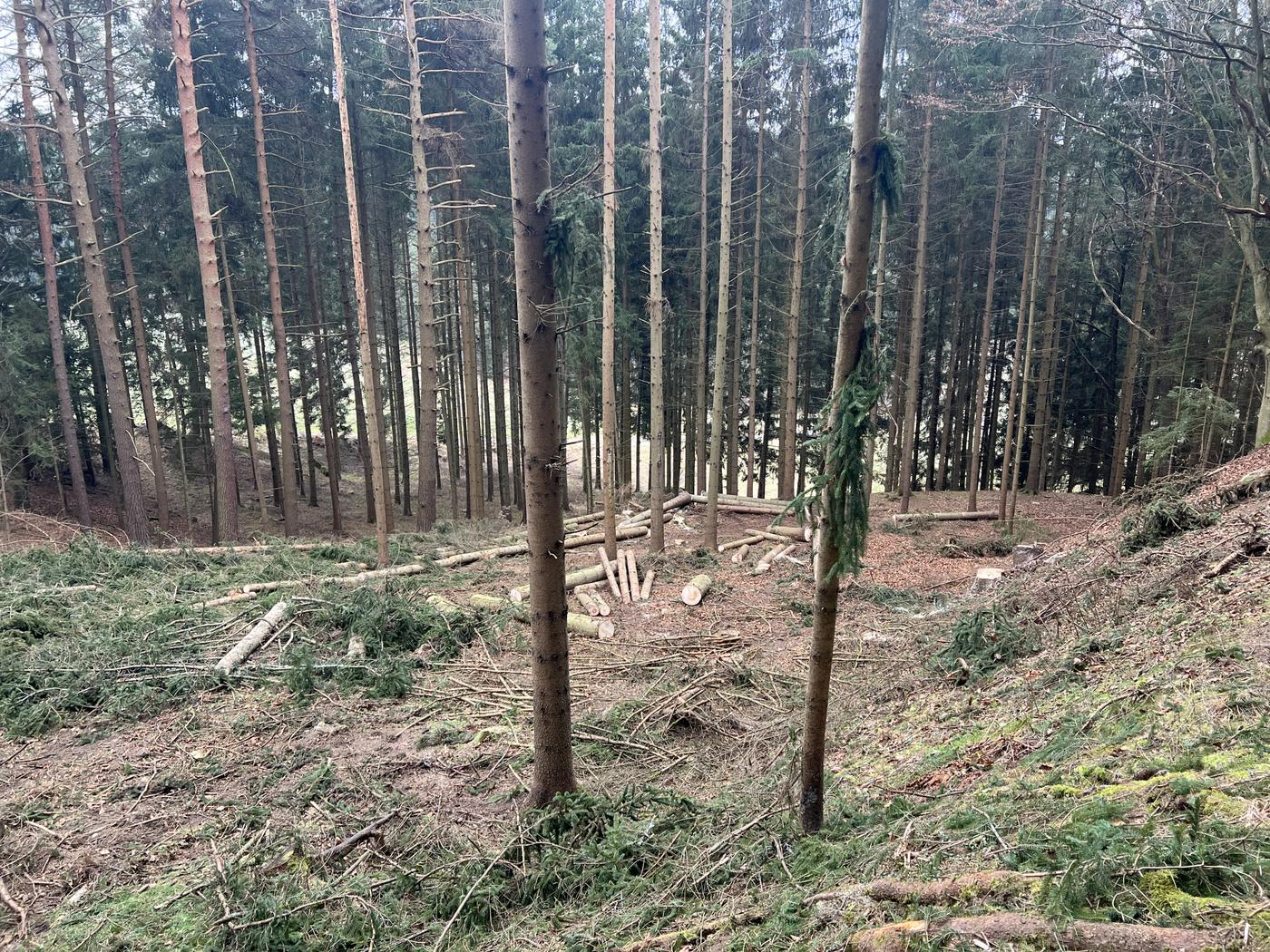 LANDSCHAFTSARCHIVE