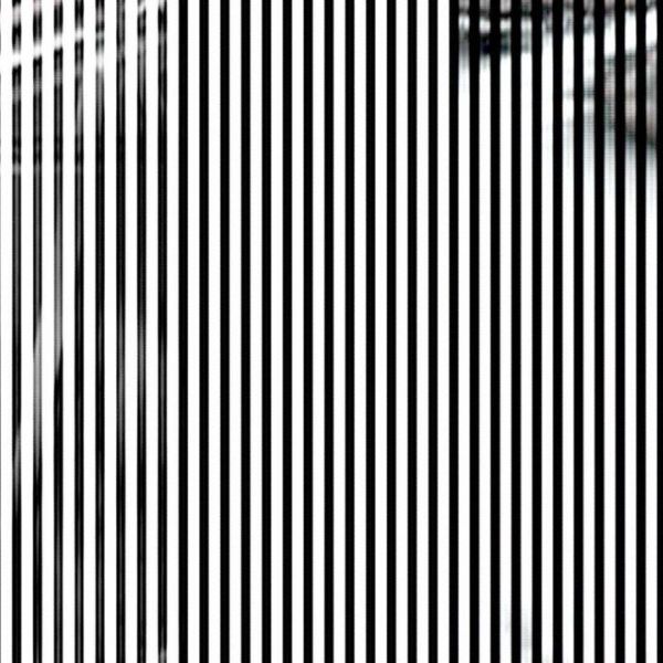 Zeilenauslesung · Vario — RAUM 11, Markus Wintersberger 2011/2012