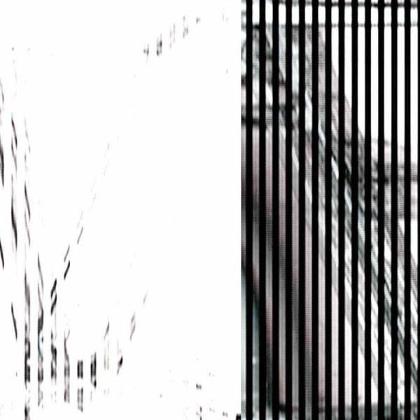 Zeilenauslesung · Vario — RAUM 11, Markus Wintersberger 2011/2012