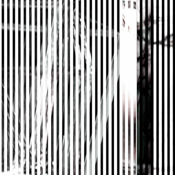 Zeilenauslesung · Vario — RAUM 11, Markus Wintersberger 2011/2012