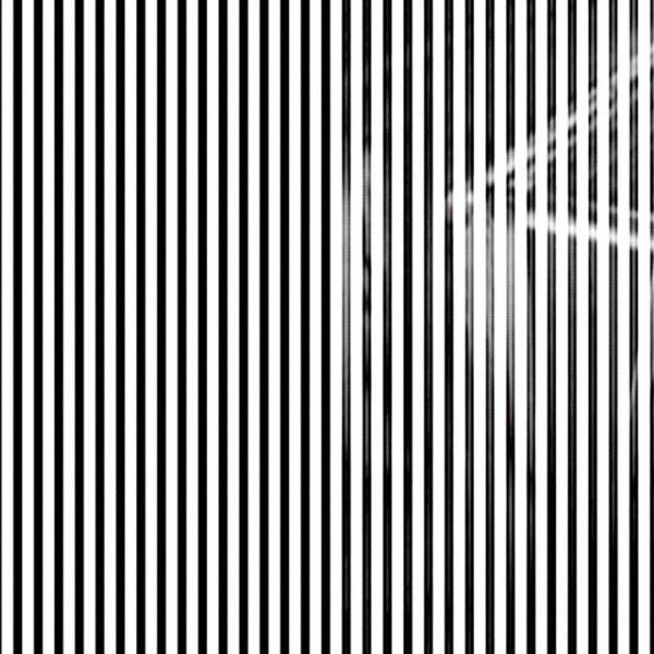 Zeilenauslesung · Vario — RAUM 11, Markus Wintersberger 2011/2012