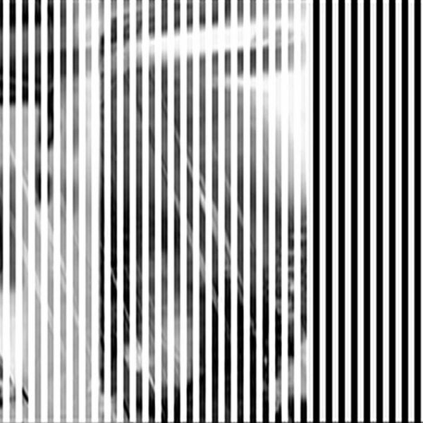 Zeilenauslesung · Vario — RAUM 11, Markus Wintersberger 2011/2012