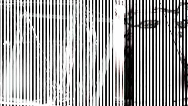 Scan · Vario · Zeilenauslesung des rotierenden Modells — RAUM 11, Markus Wintersberger 2011/2012