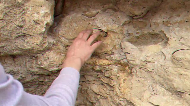 Video 04 · Die Erde erinnert sich