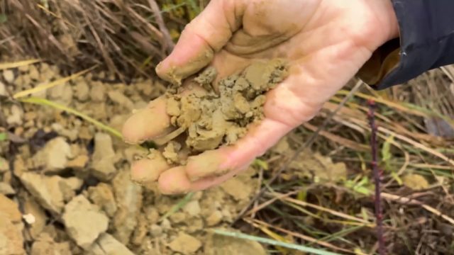 Video 06 · Song Ton-Silt-Sand