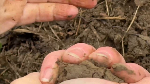 Video 07 · Fieldnotes Laa-Formation