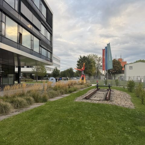 SKYDANCER, IMG_9650