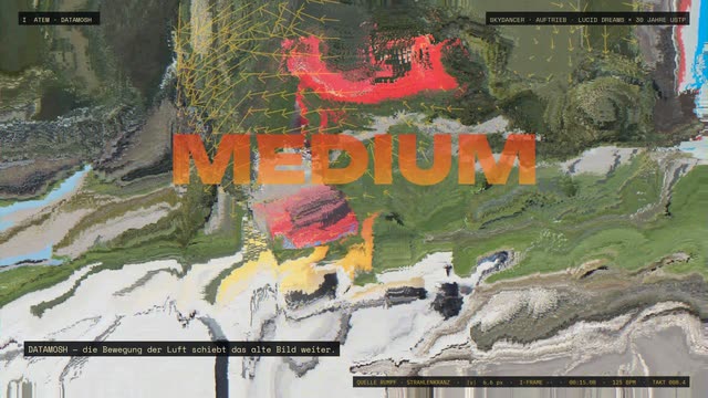 I · Datamosh · Bewegungsvektoren